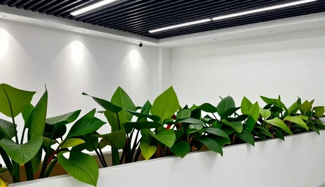 连锁加盟政策咨询套餐的常见问题与处理方法