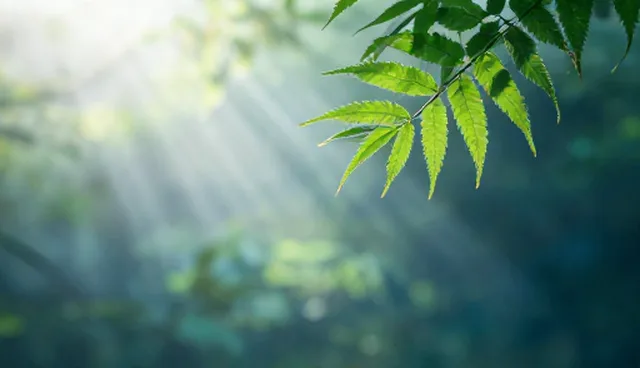 品牌加盟信息分类不清，如何提升使用效率